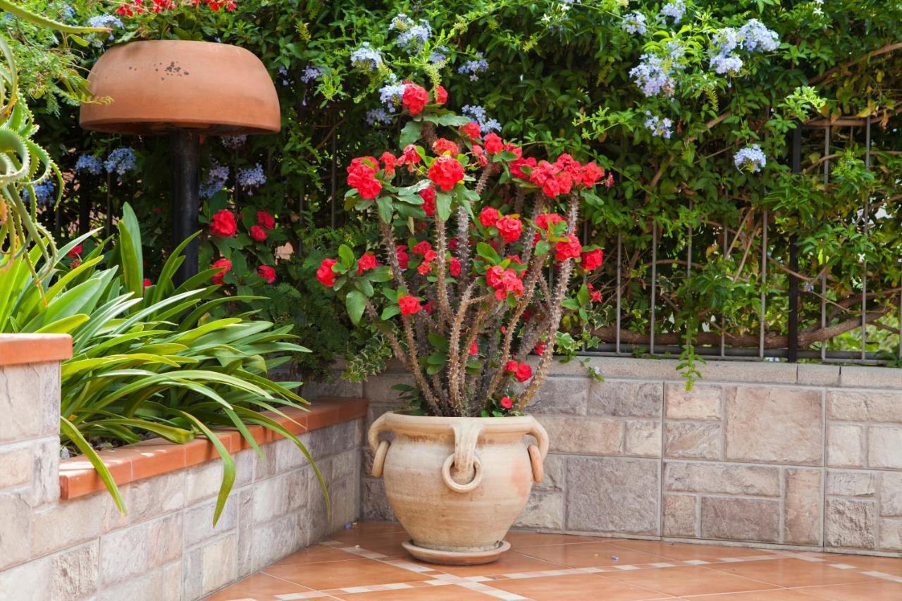 B&B Villa Carmen SantʼAlessio Siculo Exterior foto